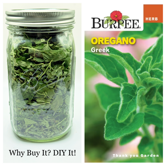 Drying Garden Herbs