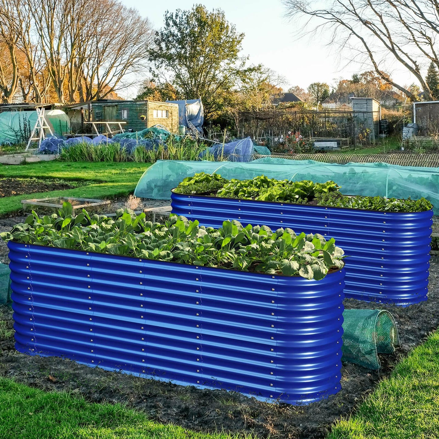 Big Bertha: 32 inch Garden Box Kit on Sale $239 Promo Code: BIGBERTHA Easy on your Back! π©βπΎ