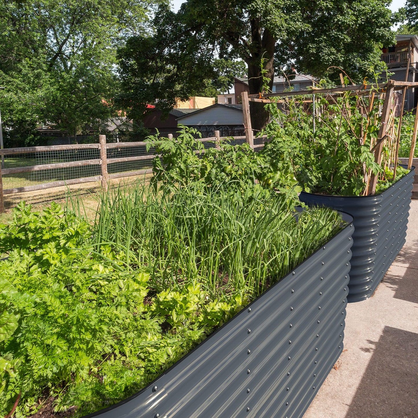 Big Bertha: 32 inch Garden Box Kit on Sale $239 Promo Code: BIGBERTHA Easy on your Back! π©βπΎ