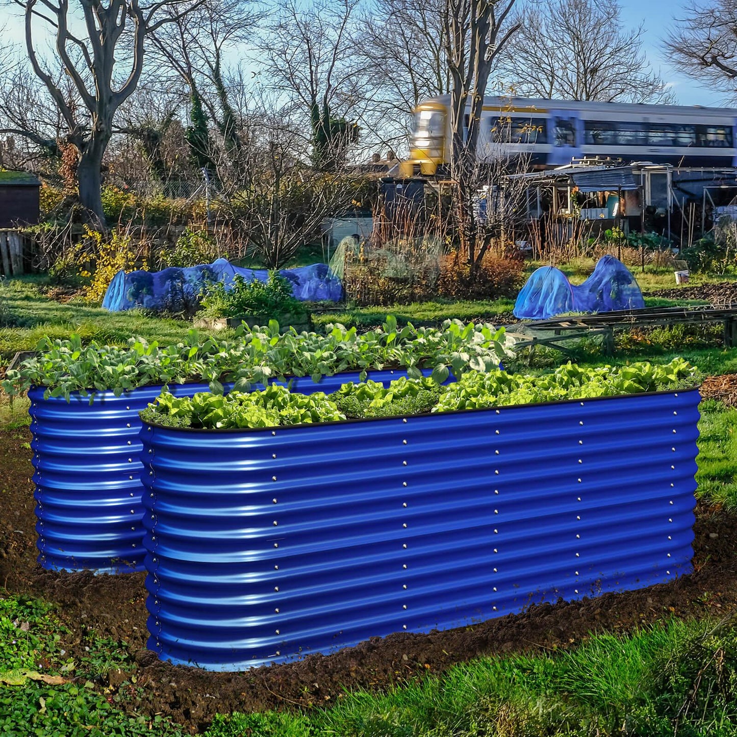 Big Bertha: 32 inch Garden Box Kit on Sale $239 Promo Code: BIGBERTHA Easy on your Back! π©βπΎ