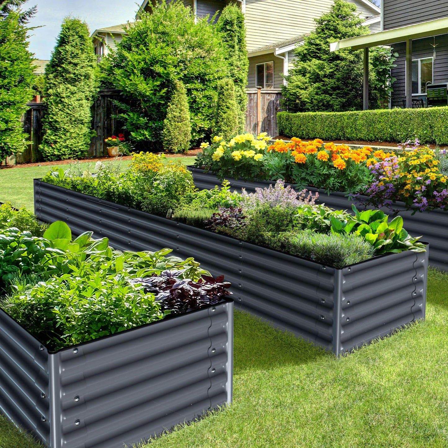 Planter Box Kit: Grow a lot of food in your own backyard! 👩🌾