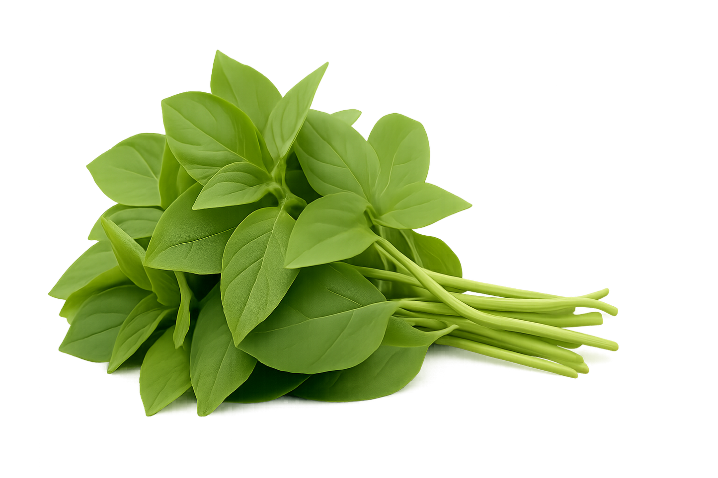 Herb Bundle