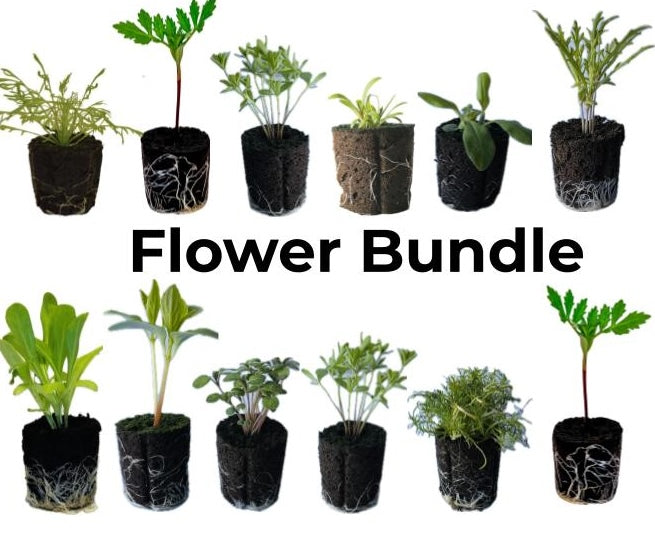 Spring Flower Bundle