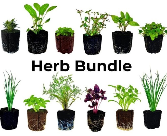 Spring Herb Mix