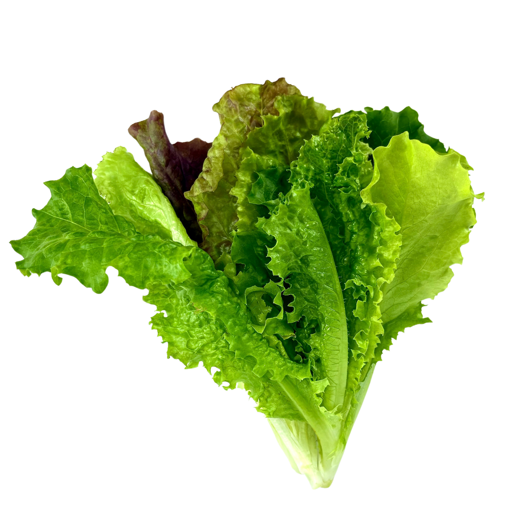 Spring Lettuce Mix