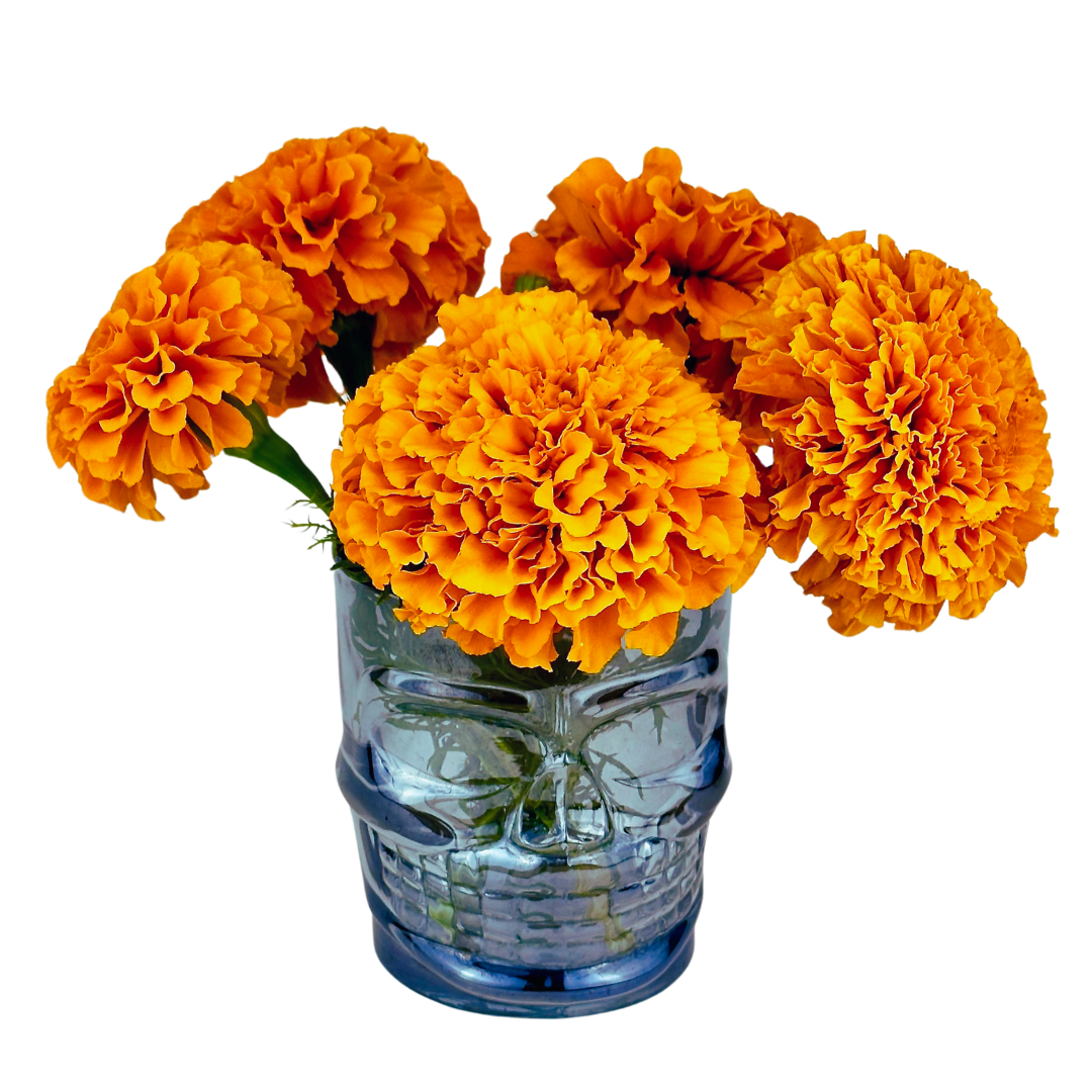 Spring Farmer's Bundle