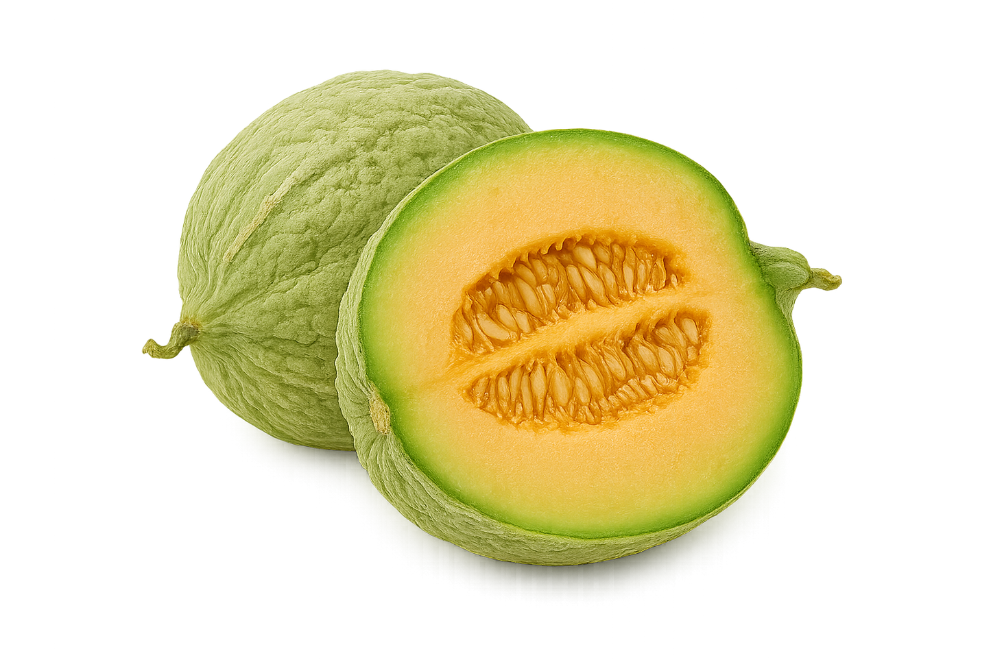 Cucurbit Bundle
