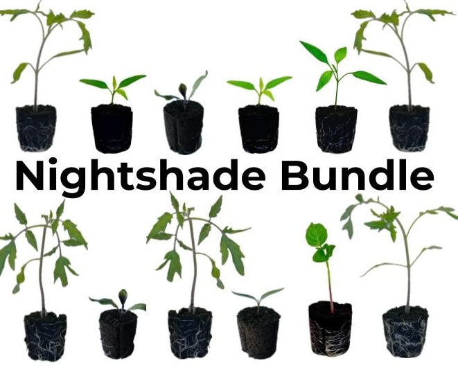 Spring Nightshade Bundle