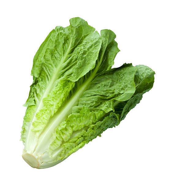Lettuce Bundle