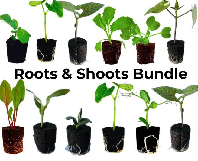Spring Roots & Shoots Bundle