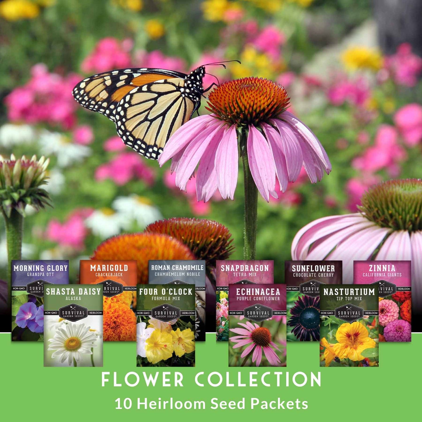 10 Flower Seed Collection - 10 Colorful & Useful Flower Varieties
