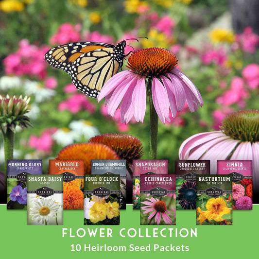 10 Heirloom Flower Seed Collection – Non-GMO Annuals & Perennials