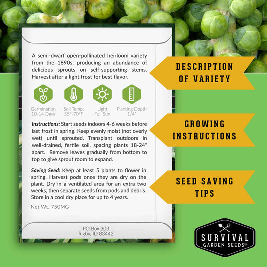 Brussels Sprouts Seed Collection – Red, Catskill & Long Island Improved Heirlooms for Cool-Season Harvests