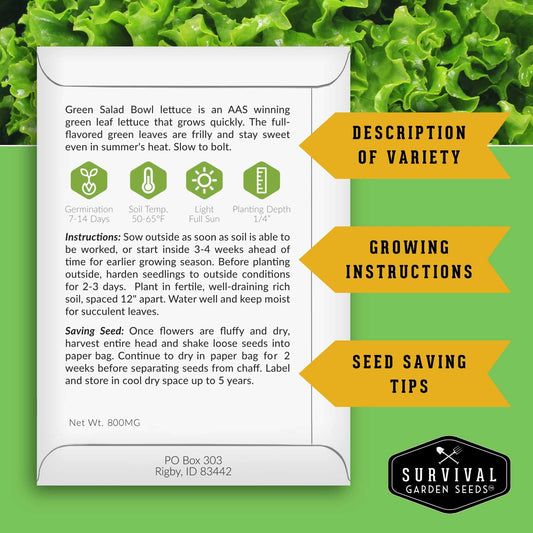 Greens Seeds Collection – 5 Heirloom Leafy Superfoods for Year-Round Growing Indoors or Outdoors