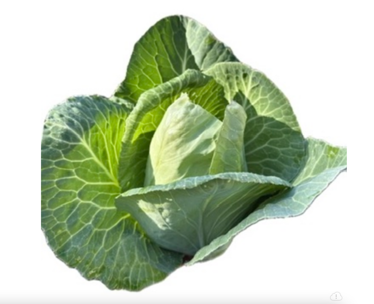 Spring Veggie Mix