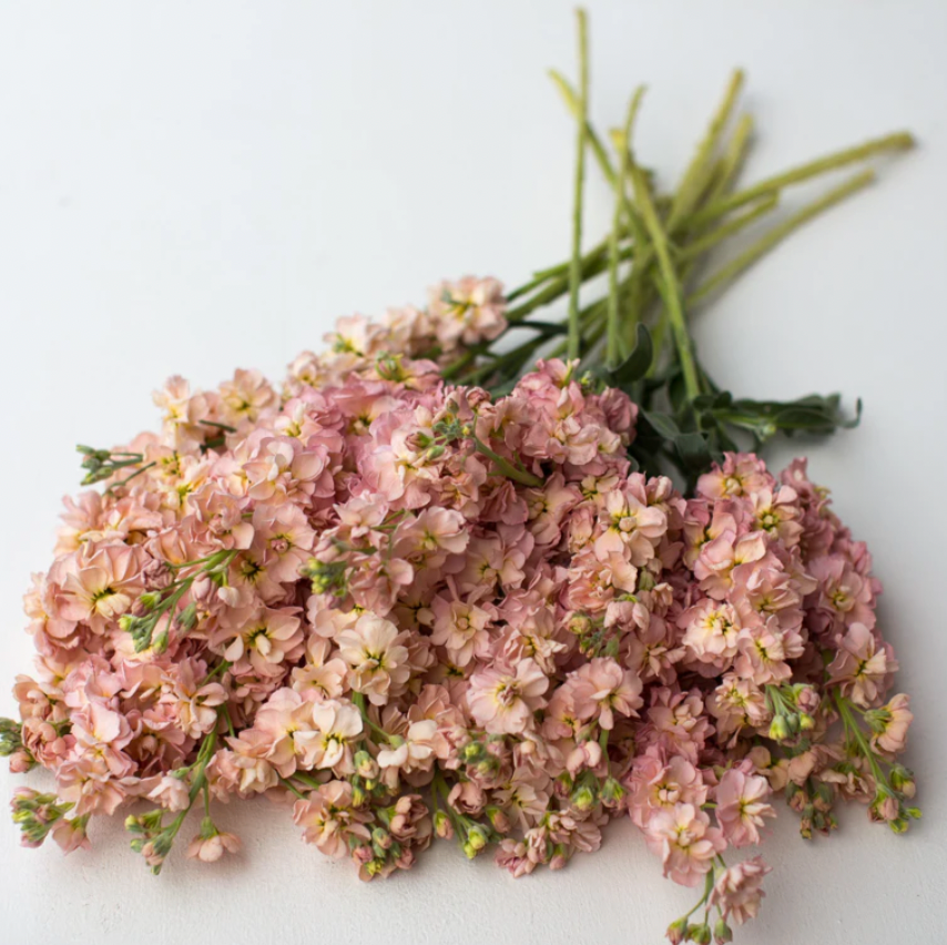 Spring Flower Bundle