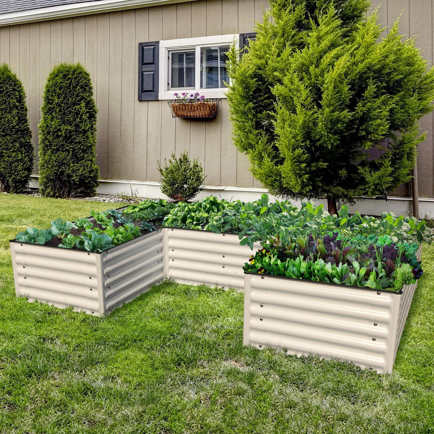 Planter Box 17" Tall "U" Shape Infinity Raised Garden Bed
