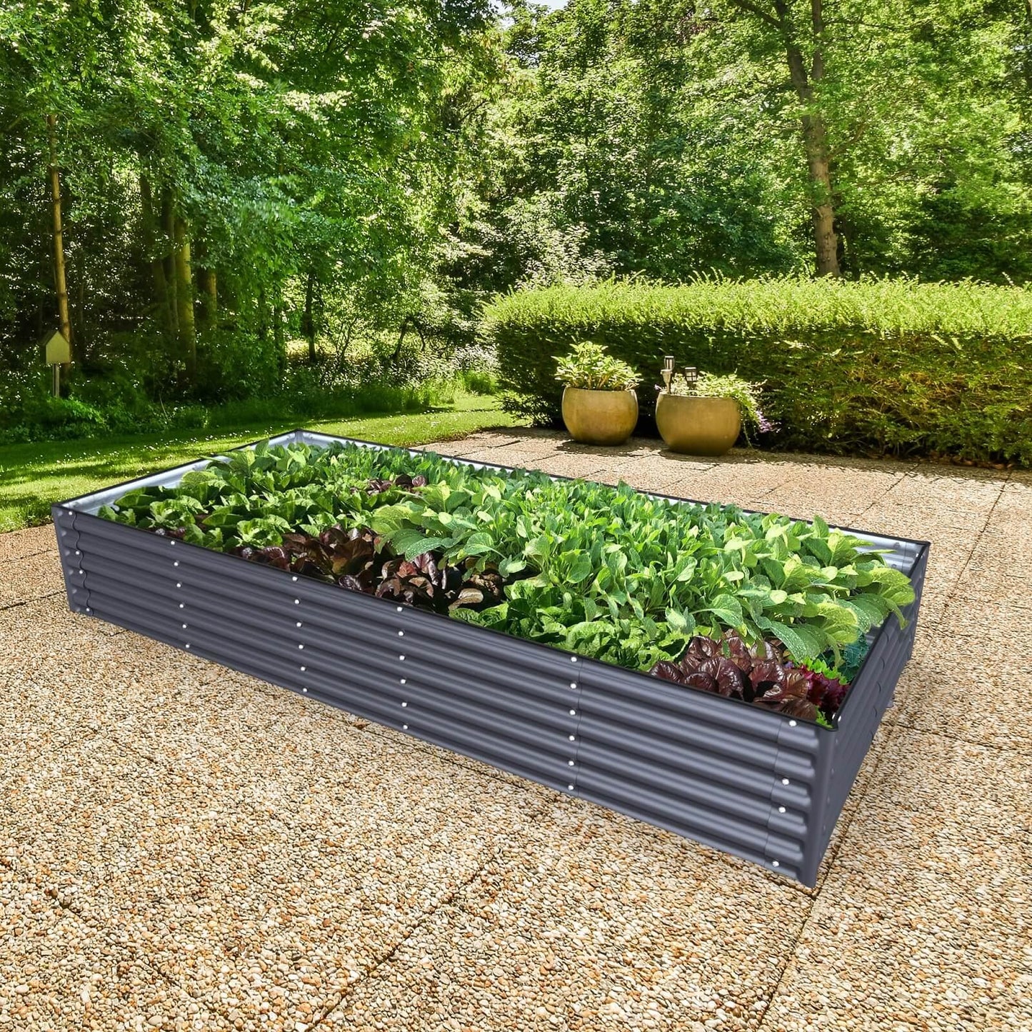 Planter Box Kit: Grow a lot of food in your own backyard! 👩🌾