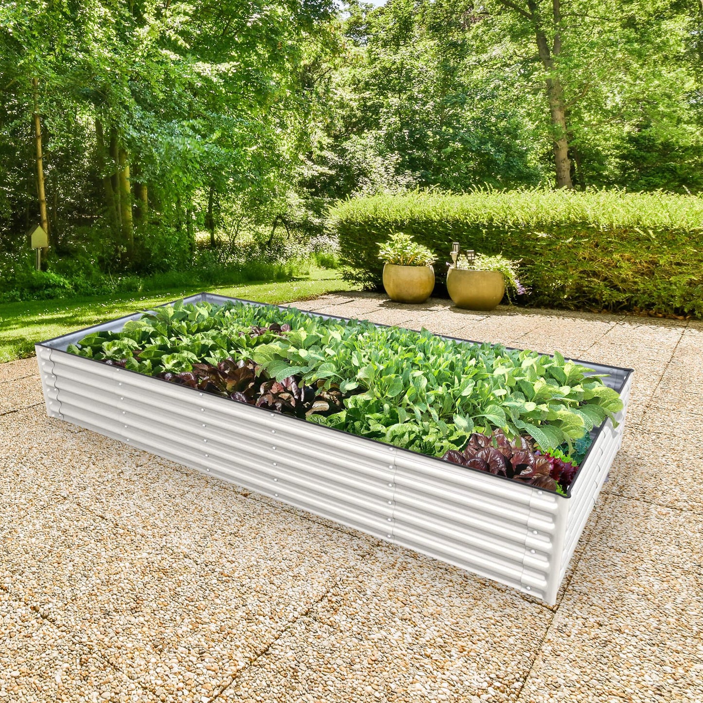 Planter Box Kit: Grow a lot of food in your own backyard! 👩🌾