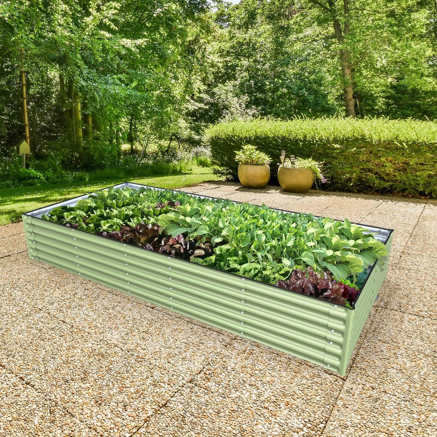 Planter Box Kit: Grow a lot of food in your own backyard! 👩🌾