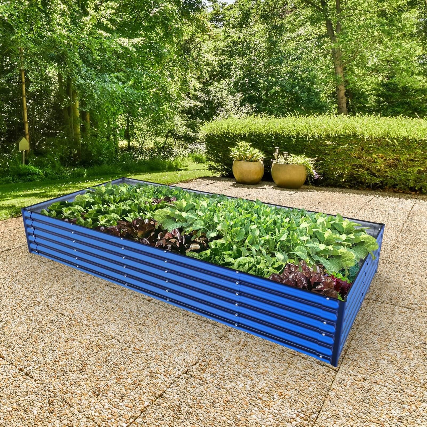 Planter Box Kit: Grow a lot of food in your own backyard! 👩🌾