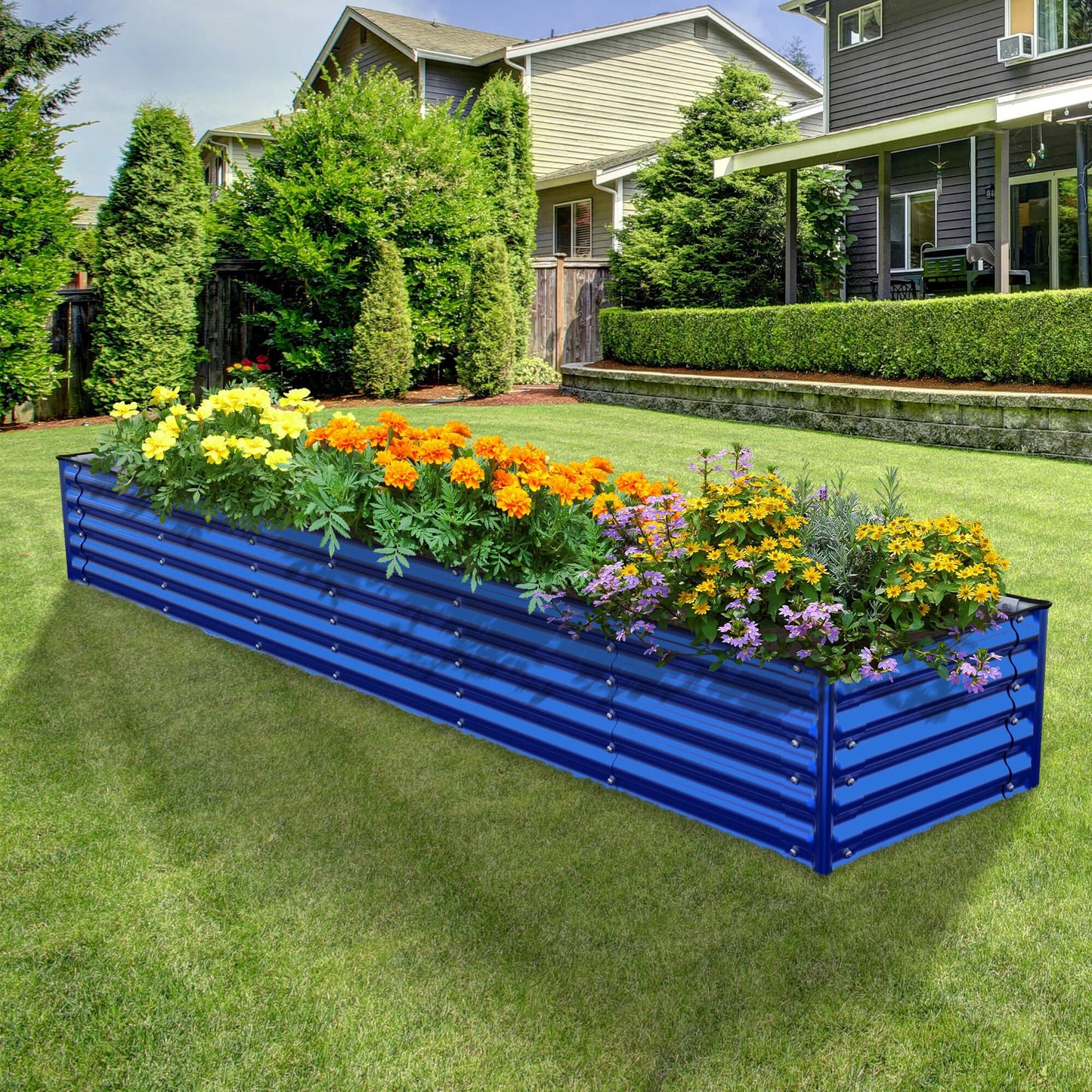 Planter Box Kit: Grow a lot of food in your own backyard! 👩🌾