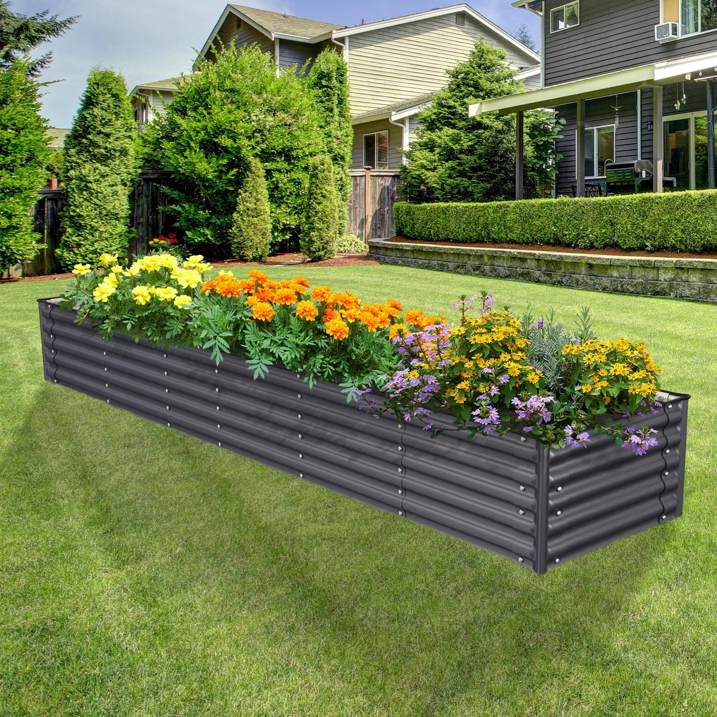 Planter Box Kit: Grow a lot of food in your own backyard! 👩🌾