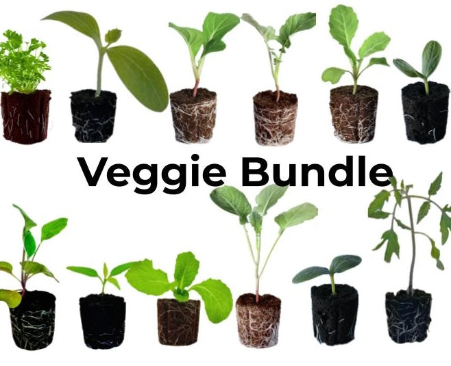 Veggie Bundle