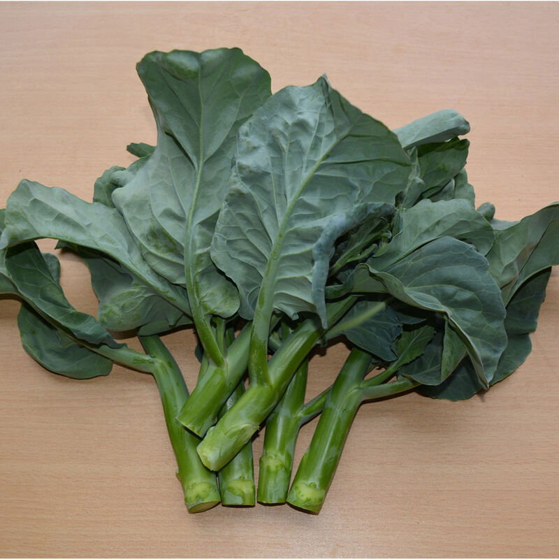 Spring Veggie Mix