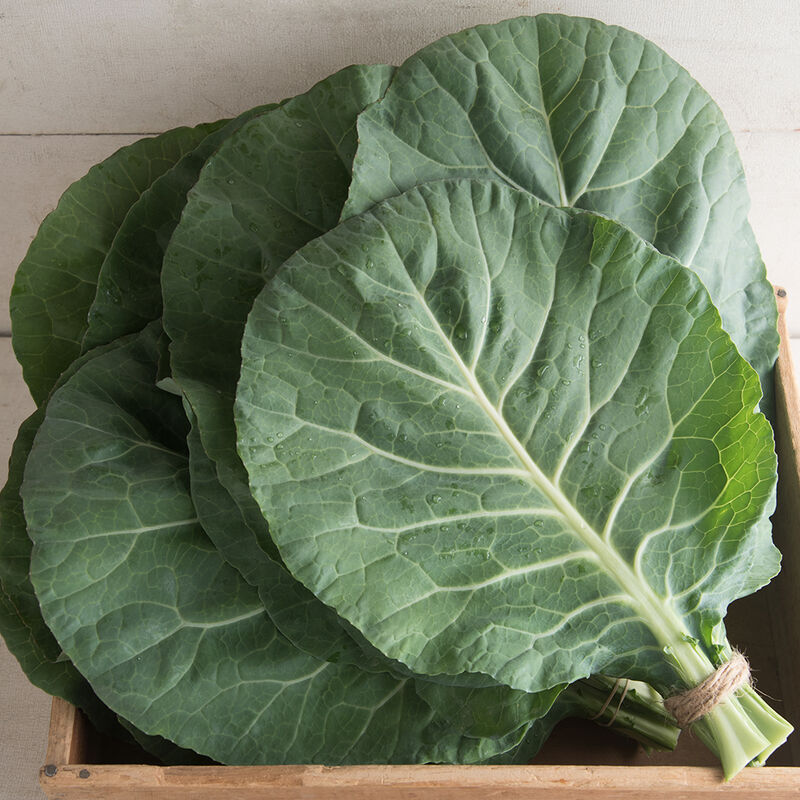 Spring Greens Mix