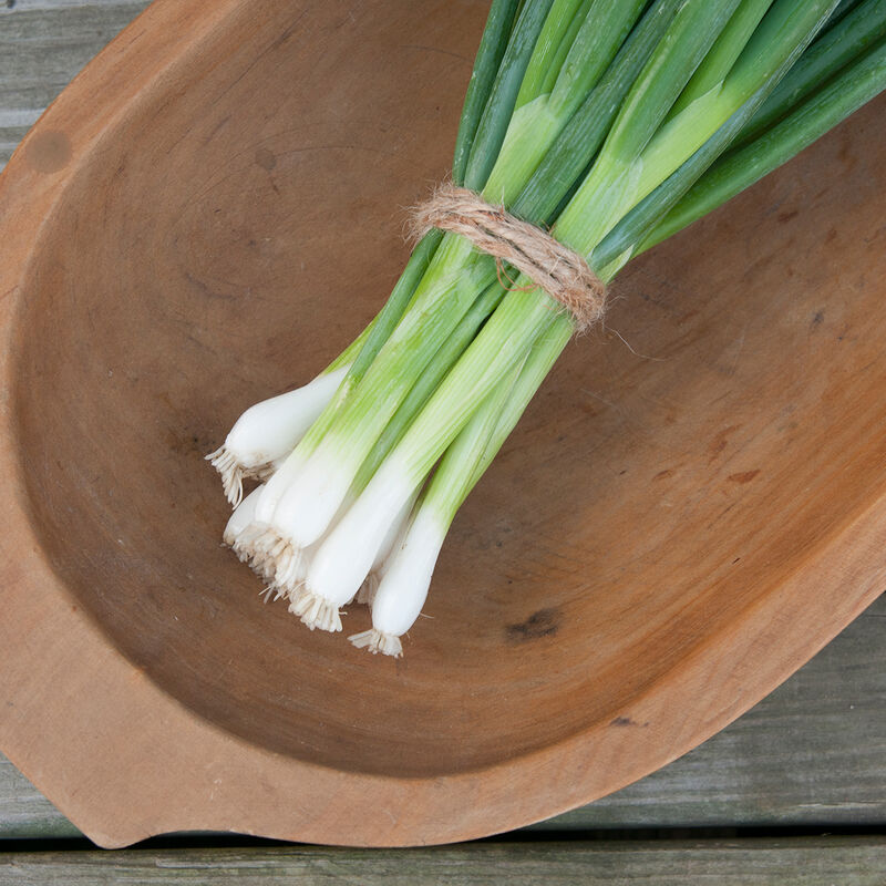 Spring Farmer's Bundle