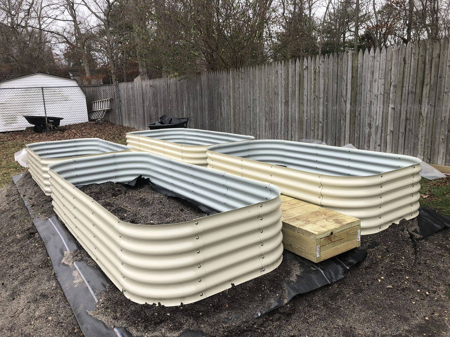 17" 12-in-1 Raised Bed & Greens Seedlings Bundle