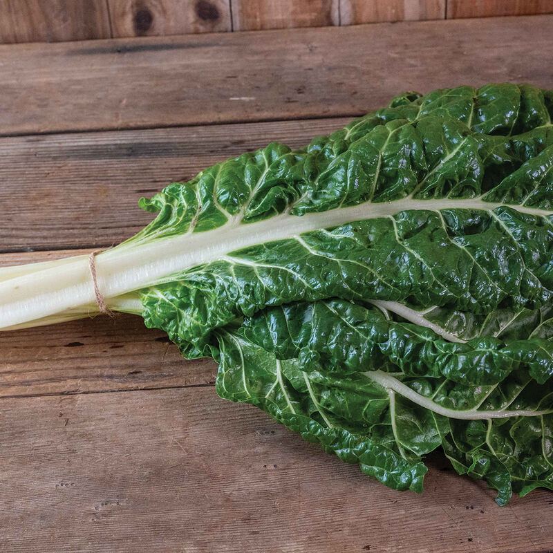Spring Greens Mix