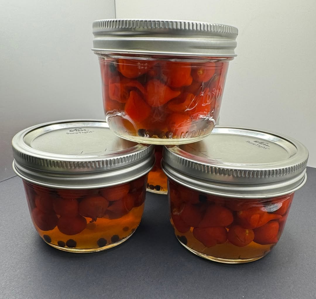Easy Pickled Biquinho Peppers | Garden-to-Jar Refrigerator Pickles