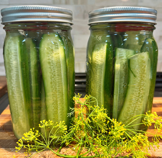 Spicy, Garlicky, Dill Refrigerator Pickles