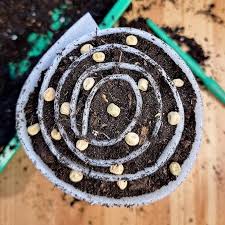 The Snail Seed Sowing Method