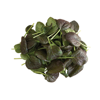 Spring Greens Mix