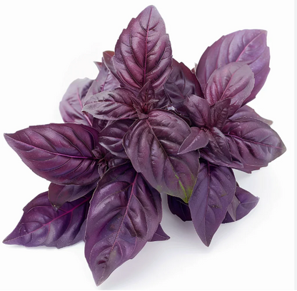 Spring Herb Mix