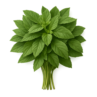Herb Bundle