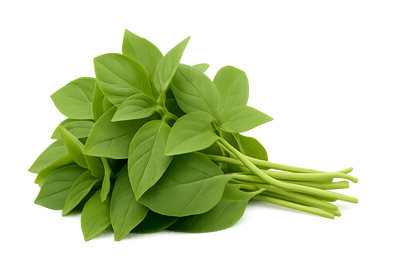 Herb Bundle