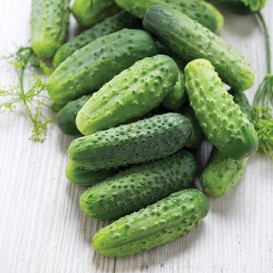 Homemade Pickles Cucumber