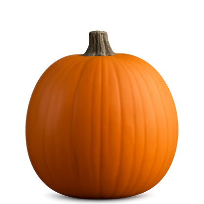 Cucurbit Bundle