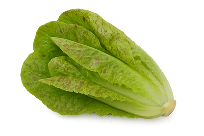Lettuce Bundle