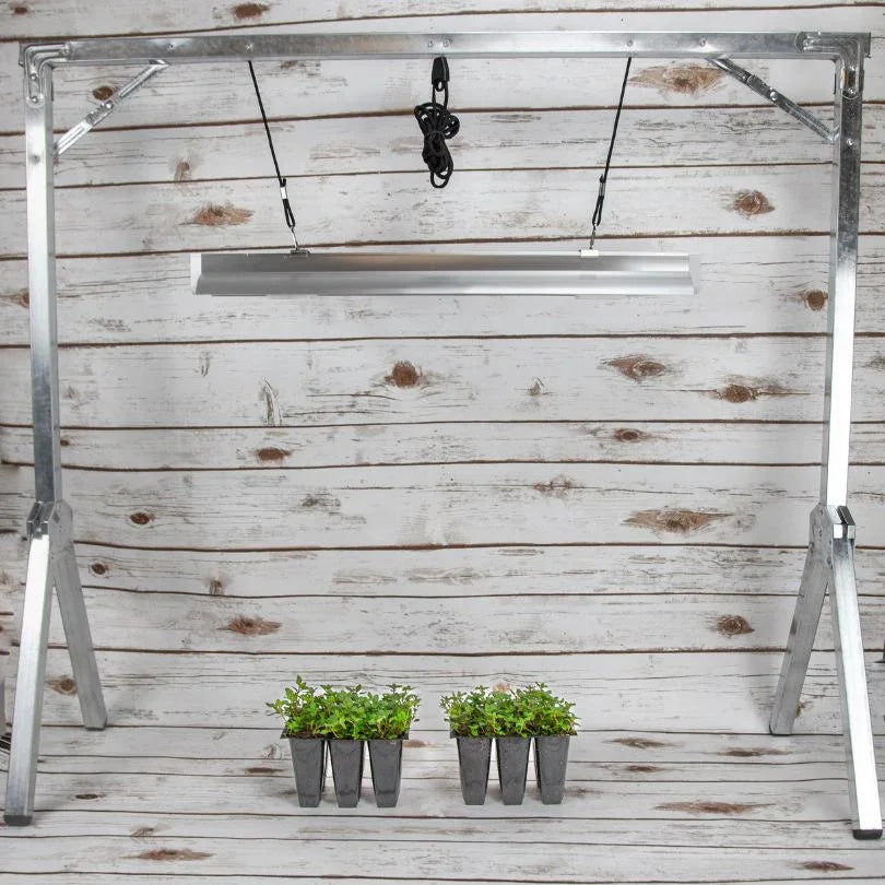 2-Foot Light System with One Lamp