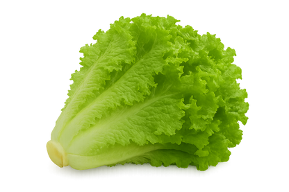 Lettuce Bundle