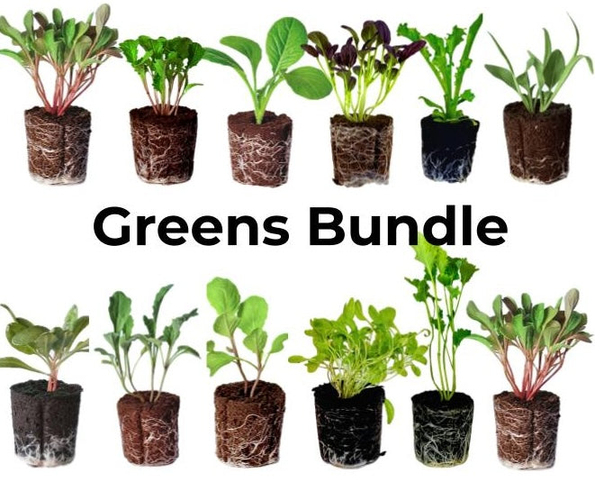 Spring Greens Mix