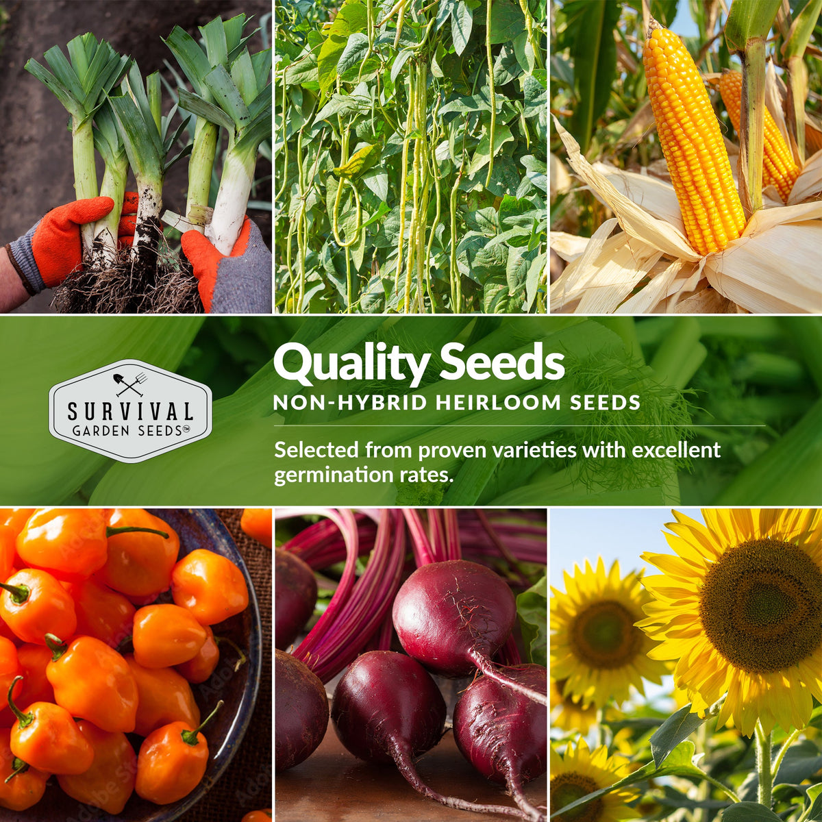 Super Seed Bundle – 180 Different Heirloom Seed Varieties