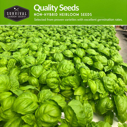 Hydroponic Herb Seed Collection