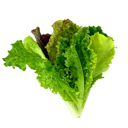 Spring Lettuce Mix