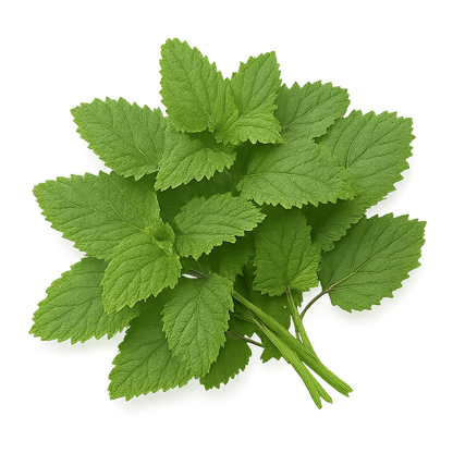 Herb Bundle
